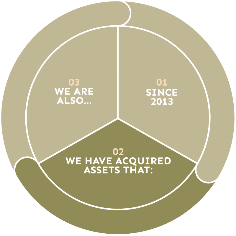 02 - We have acquired assets that: