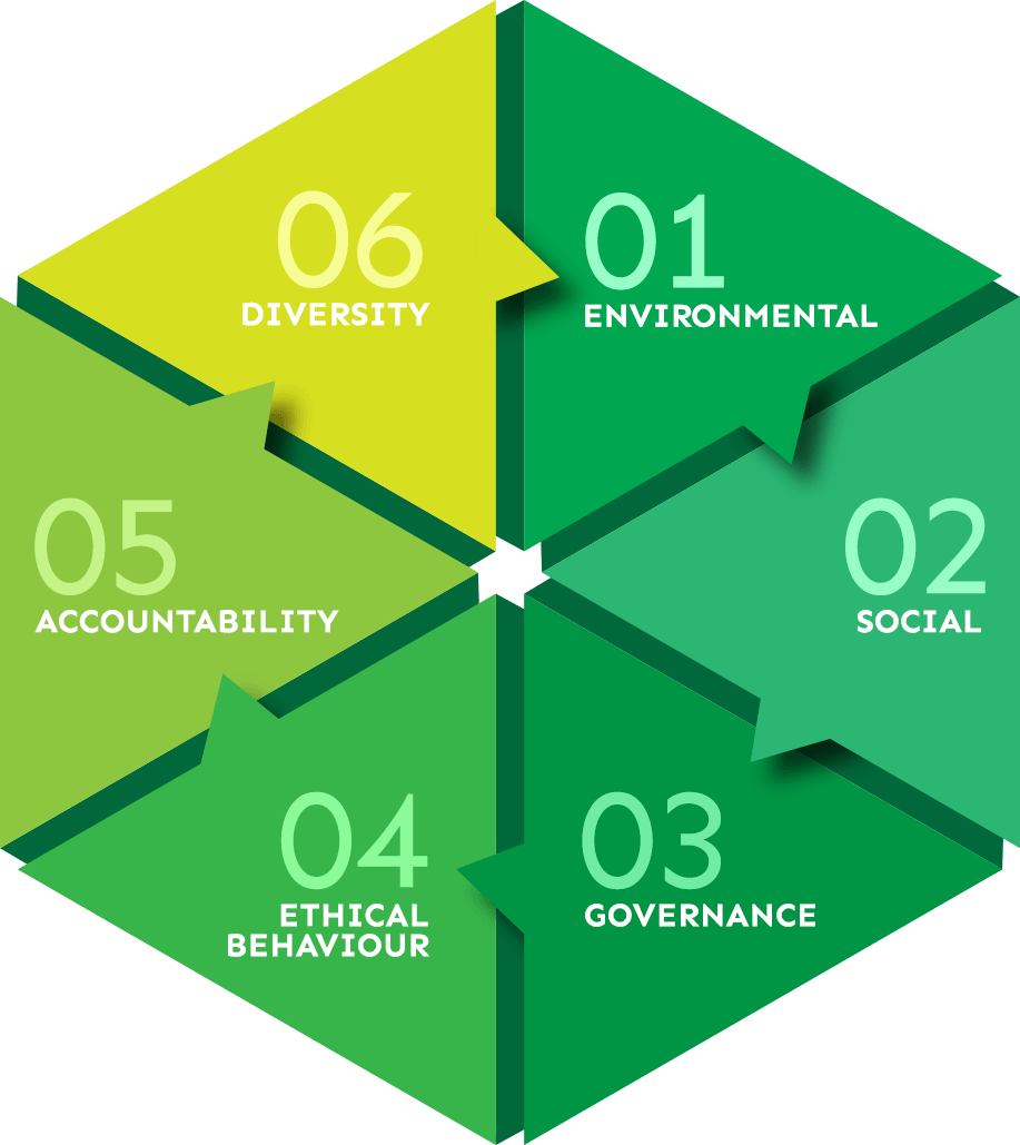 01: Environmental, 02: Social, 03: Governance, 04: Ethical Behaviour, 05: Accountability, 06: Diversity